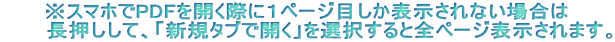 X}zPDFJۂɂPy[Wڂ\Ȃꍇ @@@āAuVK^uŊJvIƑSy[W\܂B
